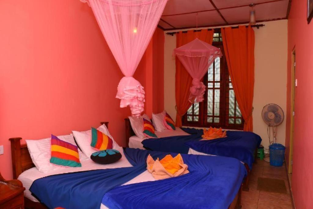 Little Heaven Guest Otel Procida Dış mekan fotoğraf